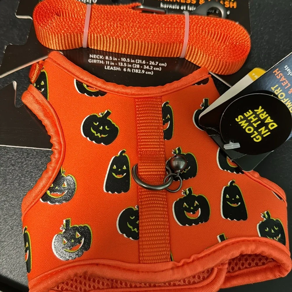Cat Halloween harness and leash